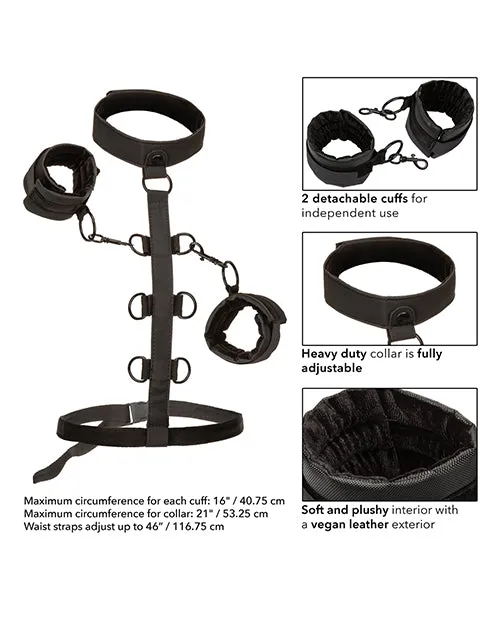 California Exotic Novelties Female Sex Toys Boundless Collar Restraint Body Harness Kit