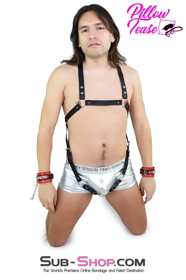 Female Sex Toys 8839DL Male Body Bondage Harness Idea