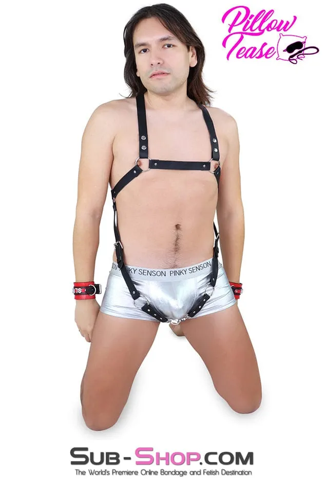 Female Sex Toys 8839DL Male Body Bondage Harness Idea
